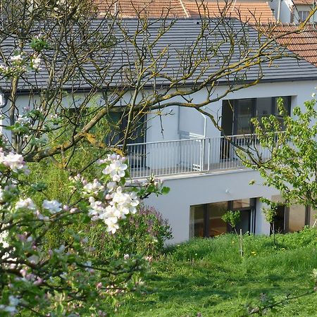 Pod Kralicim Vrchem Apartment Milovice  ภายนอก รูปภาพ