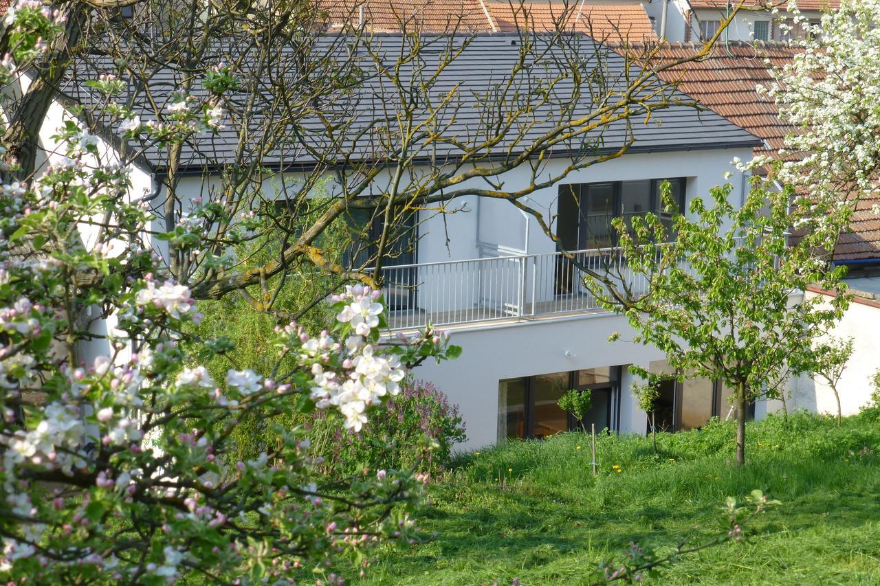 Pod Kralicim Vrchem Apartment Milovice  ภายนอก รูปภาพ